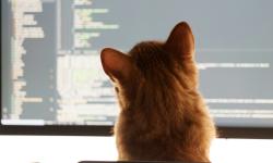 Featured image of post 「Vibeコーディング」でハマらないための7つの実践Tips